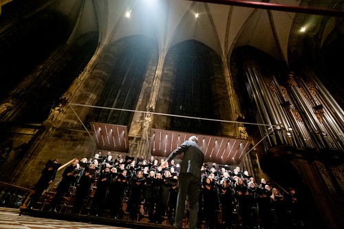 Gründonnerstag 2026 / Erzdiözese Wien/Schönlaub, Stephan Schönlaub