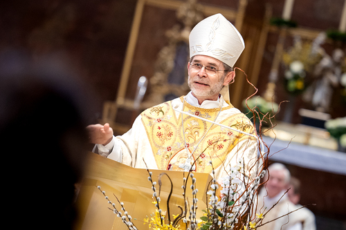 Priesterweihe Ambruster / Erzdiözese Wien/Schönlaub